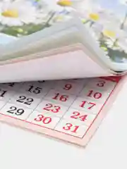 Индиго календарь на магните на 2025 год. 20 видов