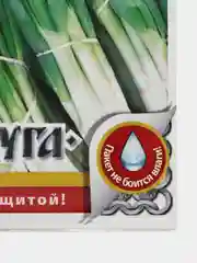 Лук на зелень Шашлычный "Кольчуга NEW (семена)