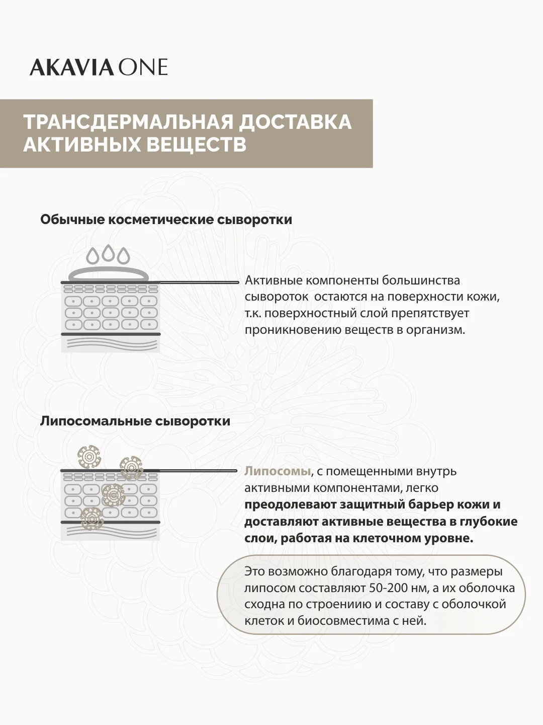 АКАВИЯ ONE сыворотка для лица, дневная, интенсивное увлажнение