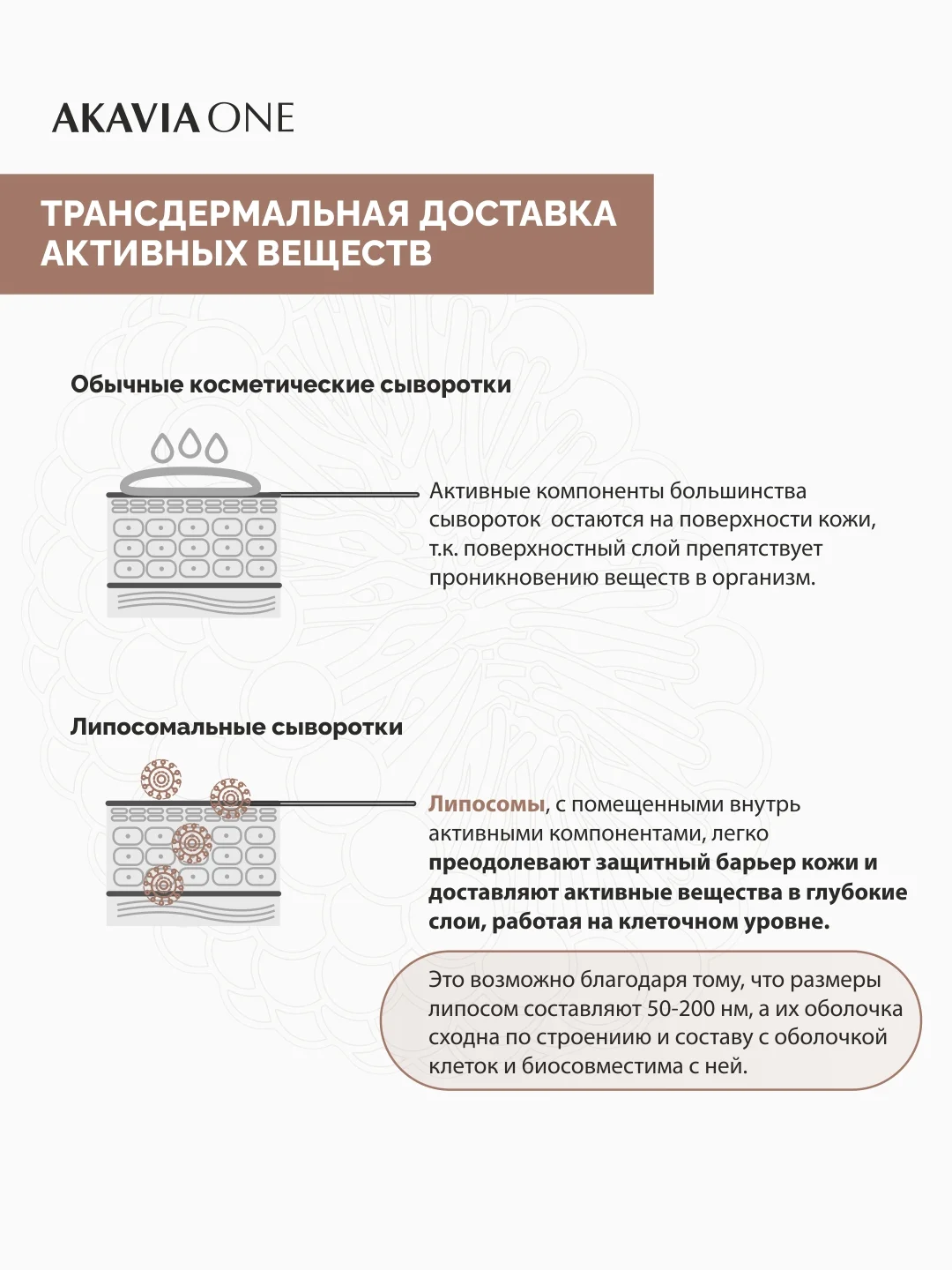 АКАВИЯ ONE Сыворотка для лица, дневная, от морщин, лифтинг