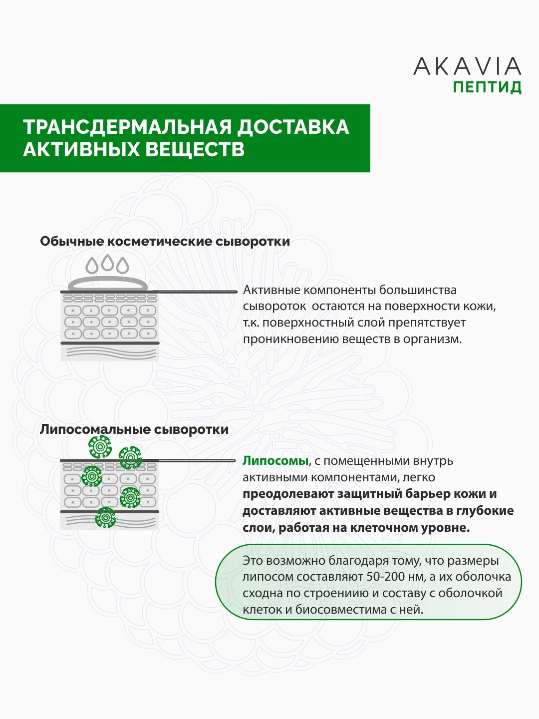 АКАВИЯ PEPTID Восстанавливающая сыворотка для лица с пробиотиками