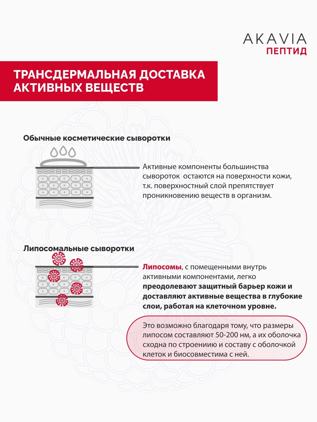 АКАВИЯ PEPTID Сыворотка против первых признаков старения, моделирование контуров лица