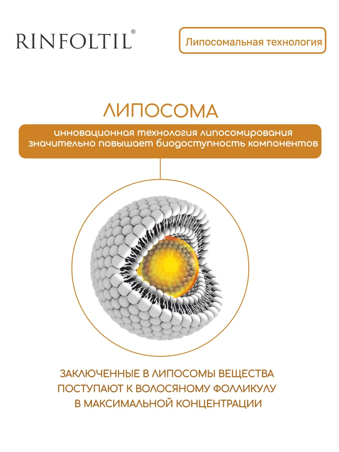 РИНФОЛТИЛ Липосомальная сыворотка от выпадения волос Для предотвращения облысения у мужчин