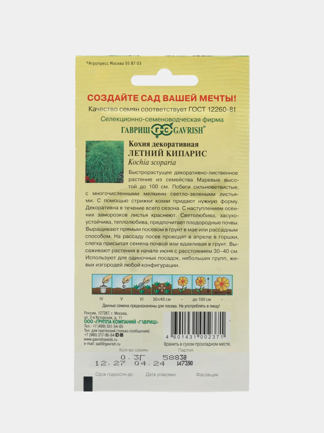 Кохия веничная Летний Кипарис, семена гавриш