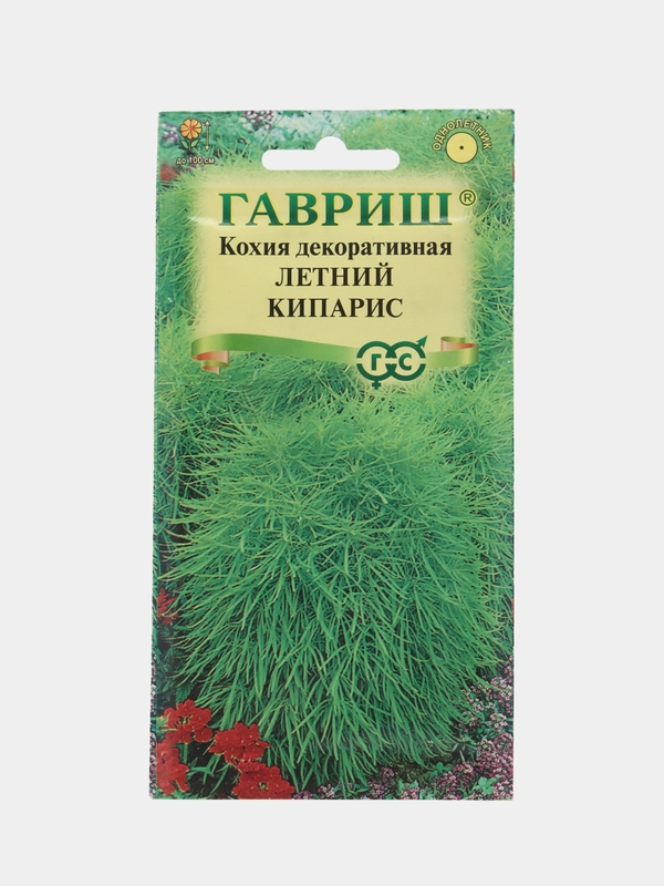 Кохия веничная Летний Кипарис, семена гавриш