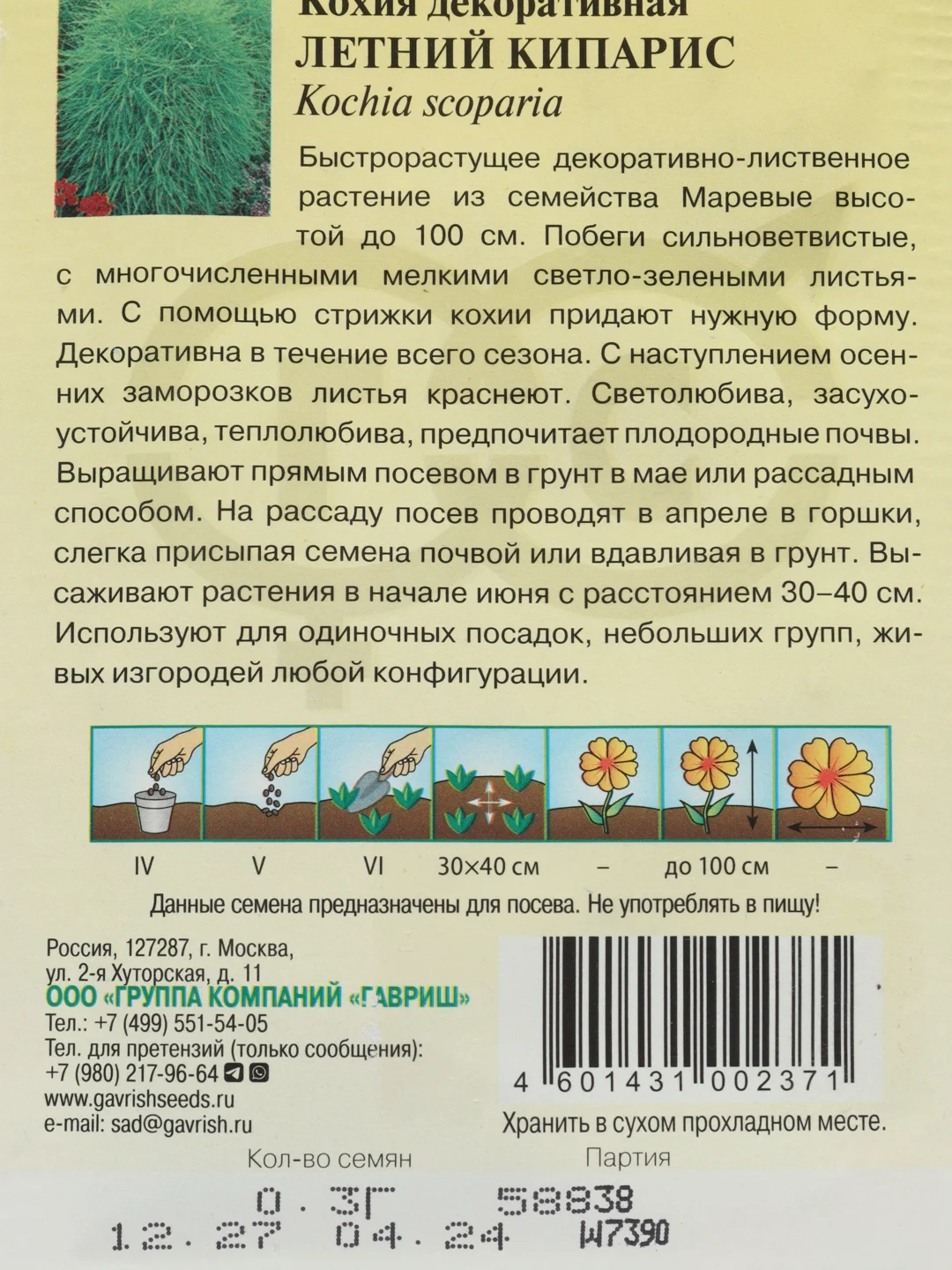 Кохия веничная Летний Кипарис, семена гавриш