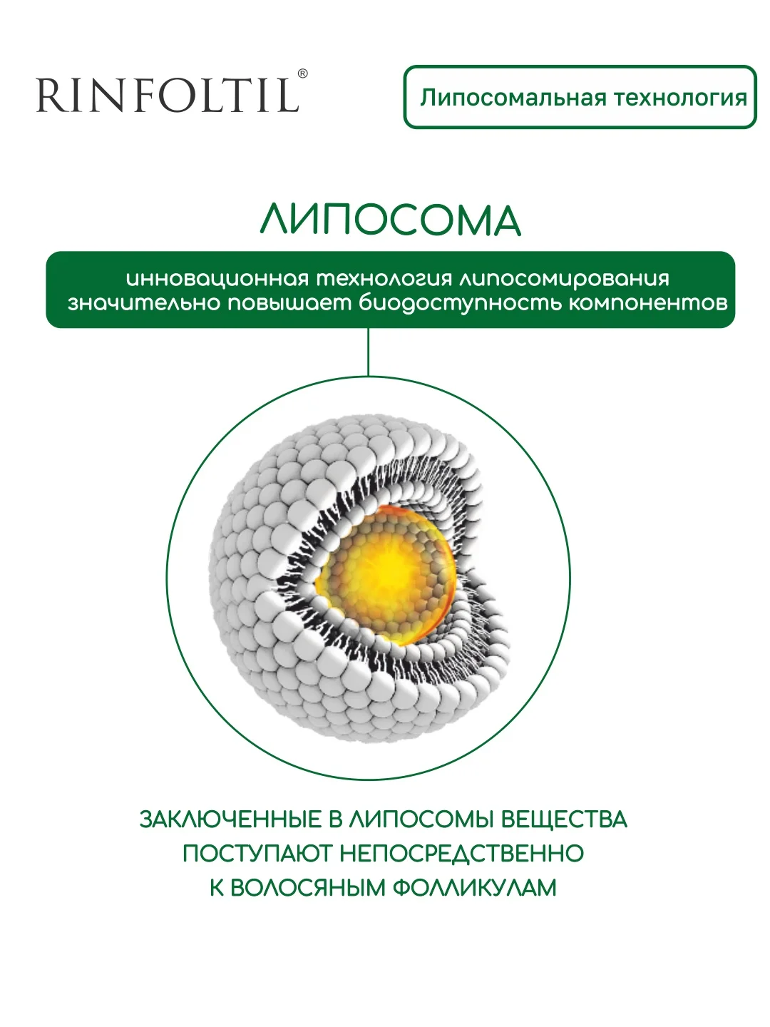 РИНФОЛТИЛ Липосомальная сыворотка против выпадения волос. Для интенсивного роста
