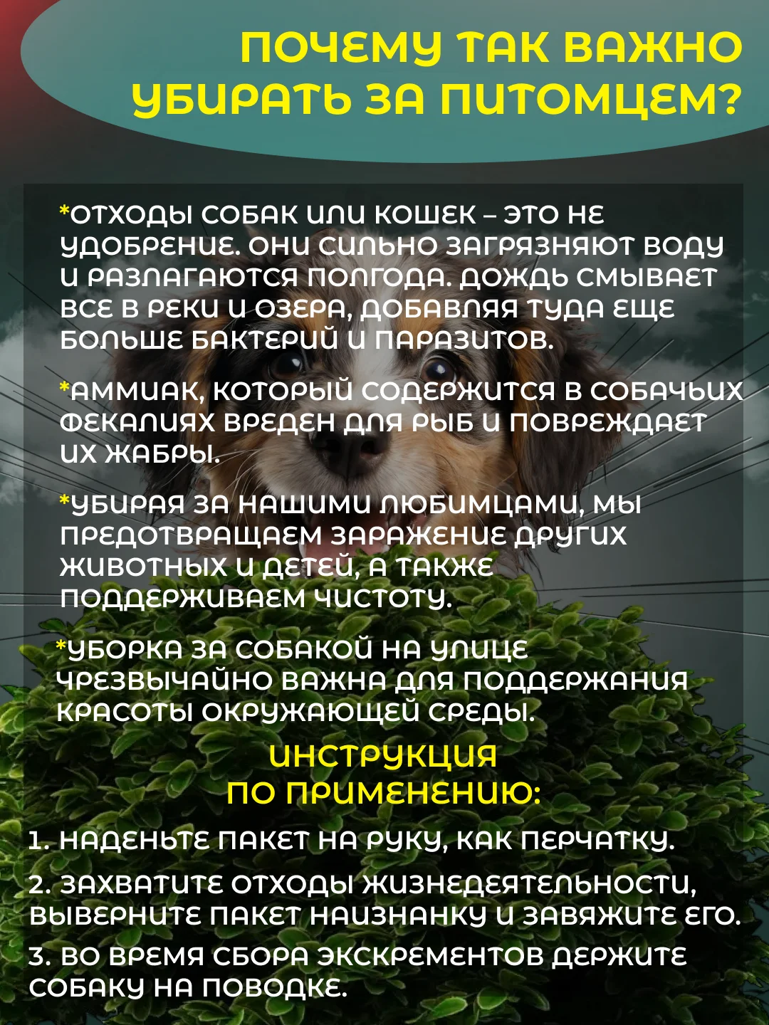 Пакеты гигиенические, биоразлагаемые в рулонах, для выгула собак и кошек, 3шт/6шт