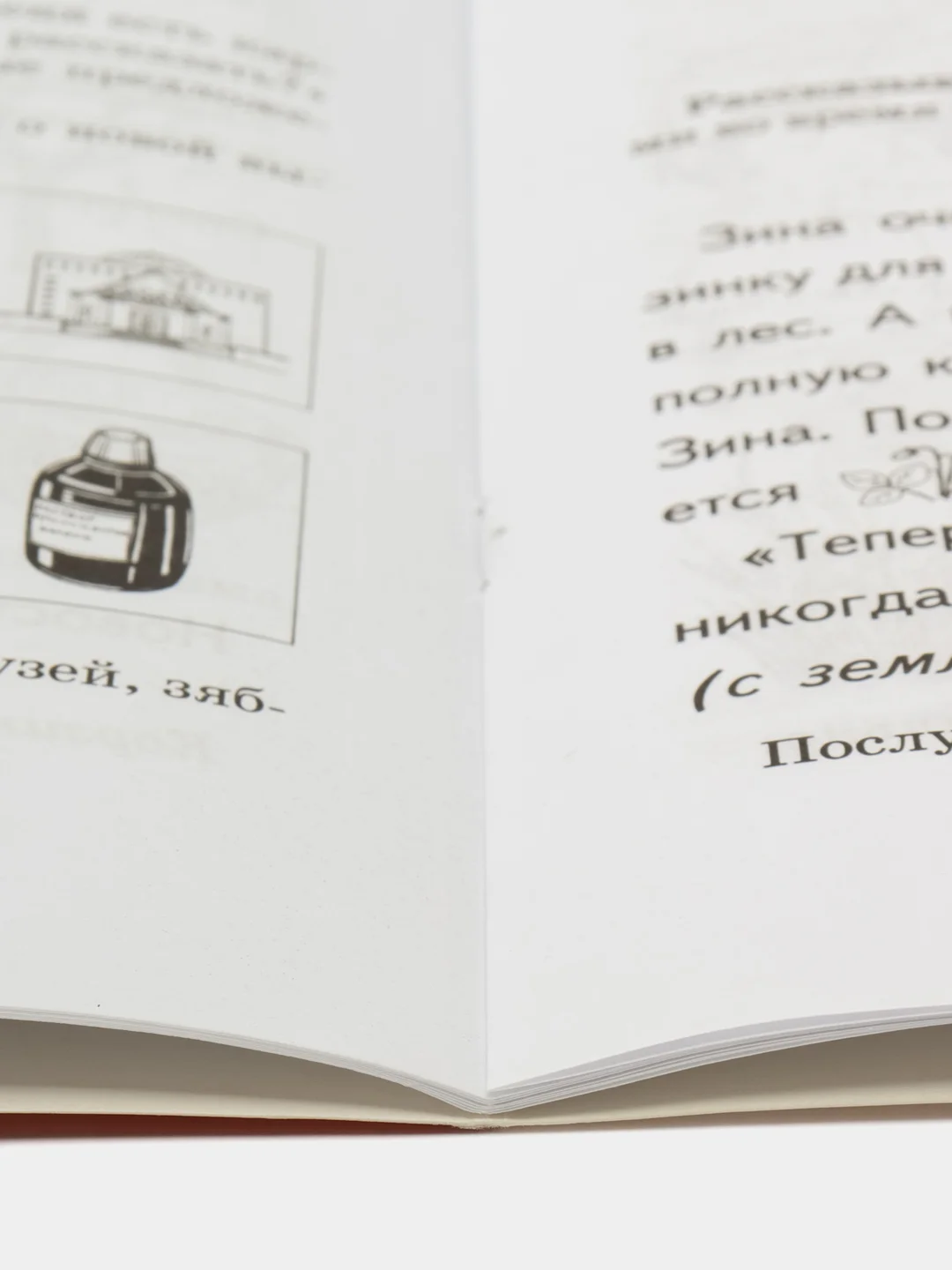 Рабочая домашняя логопедическая тетрадь: Учим звуки з, з, ц. Для детей 5-7 лет