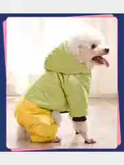 Комбинезон для собак, зимний, утепленный, с капюшоном
