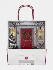 Пакеты новогодние подарочные мужчине, женщине, набор 10 штуки 26x32x13 см Золотая Сказка
