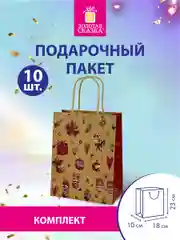 Пакеты новогодние подарочные мужчине, женщине, набор 10 штуки 18x10x23 см Золотая Сказка