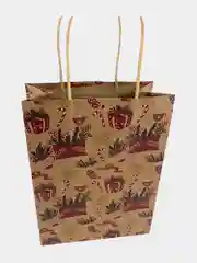 Пакеты новогодние подарочные мужчине, женщине, набор 10 штуки 18x10x23 см Золотая Сказка
