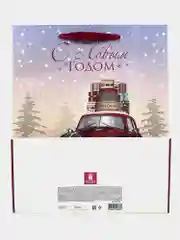 Пакеты новогодние подарочные мужчине, женщине, набор 4 штуки 26x32x13 см Золотая Сказка