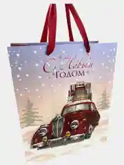 Пакеты новогодние подарочные мужчине, женщине, набор 4 штуки 26x32x13 см Золотая Сказка