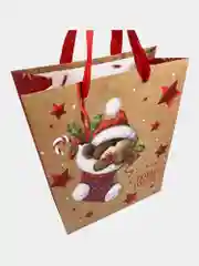 Пакеты новогодние подарочные мужчине, женщине, набор 4 штуки 26x32x13 см Золотая Сказка
