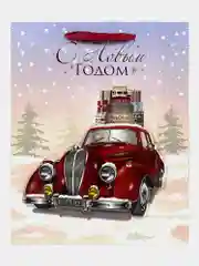 Пакеты новогодние подарочные мужчине, женщине, набор 4 штуки 26x32x13 см Золотая Сказка