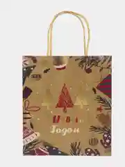 Пакеты новогодние подарочные мужчине, женщине, набор 10 штуки 18x10x23 см Золотая Сказка