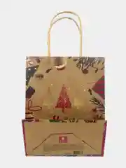 Пакеты новогодние подарочные мужчине, женщине, набор 10 штуки 18x10x23 см Золотая Сказка