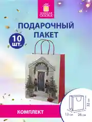 Пакеты новогодние подарочные мужчине, женщине, набор 10 штуки 26x32x13 см Золотая Сказка