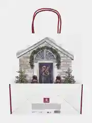 Пакеты новогодние подарочные мужчине, женщине, набор 10 штуки 26x32x13 см Золотая Сказка