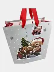 Пакеты новогодние подарочные мужчине, женщине, набор 4 штуки 26x32x13 см Золотая Сказка