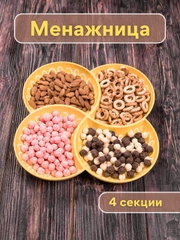 Менажница пластиковая, блюдо для подачи, тарелка для сервировки