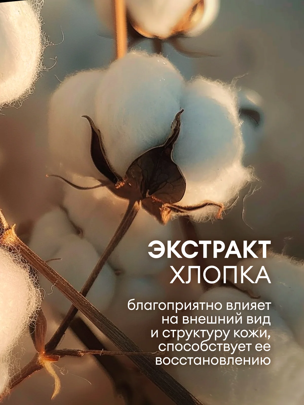 Жидкое крем-мыло Grass густое, гипоаллергенное Laun с экстрактом хлопка, 5 л