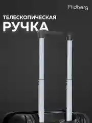 Комплект чемоданов Ridberg Travel L+S