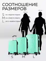 Чемодан LCase New Delhi