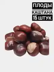 Каштаны / Конский каштан / Для творчества и поделок / Плоды каштана конского