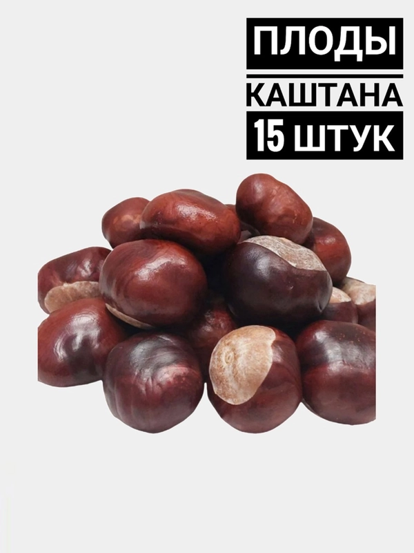 Каштаны / Конский каштан / Для творчества и поделок / Плоды каштана конского