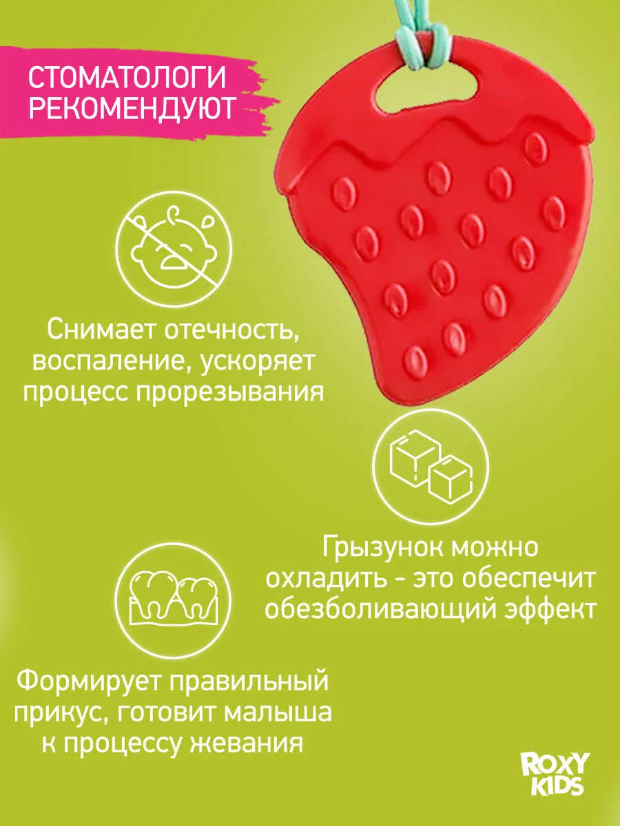 Прорезыватель-грызунок на держателе ROXY-KIDS, мятный
