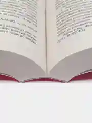 Кодекс РФ об административных правонарушениях (КОАП РФ) по сост. на 25.09.2024