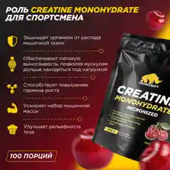 Микронизированный Креатин Моногидрат PRIMEKRAFT Creatine Monohydrate Micronized, 500 г