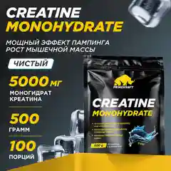 Микронизированный Креатин Моногидрат PRIMEKRAFT Creatine Monohydrate Micronized, 500 г