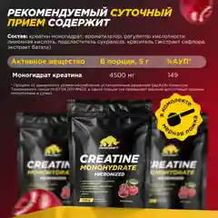 Микронизированный Креатин Моногидрат PRIMEKRAFT Creatine Monohydrate Micronized, 500 г