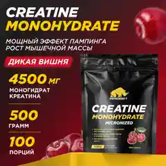 Микронизированный Креатин Моногидрат PRIMEKRAFT Creatine Monohydrate Micronized, 500 г