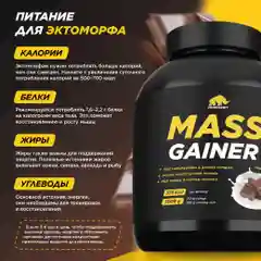 Гейнер PRIMEKRAFT MASS GAINER для набора массы, 3000 г, 30 порций