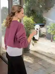 Стеклоочиститель Karcher Plus Multi Edition