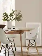 Белый стулья для кухни RIDBERG Style DSW EAMES, обеденные для кухни, столовой, гостиной