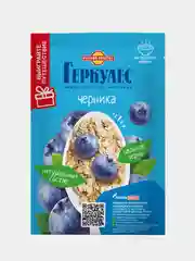 Овсяная каша быстрого приготовления РУССКИЙ ПРОДУКТ Геркулес, с черникой, 10 штук по 35г