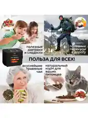 Электрическая сушилка для овощей и фруктов GFgril GFD-003