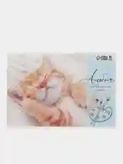 Лавандовый альбомы для рисования А4, 20 - 40 листов много видов (мега)