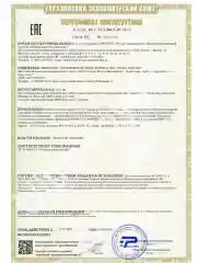 Шарнирная кукла  Космическая Флора с крыльями, 24 см
