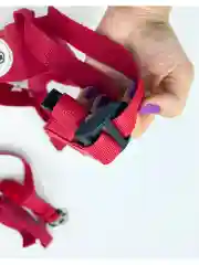 Ремень безопасности BabyJem Red 216