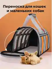 Оранжевый сумка-переноска для кошек и собак