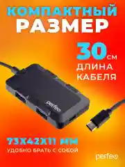 Разветвитель USB хаб C-HUB Perfeo 4 Port, (PF-H046) чёрный