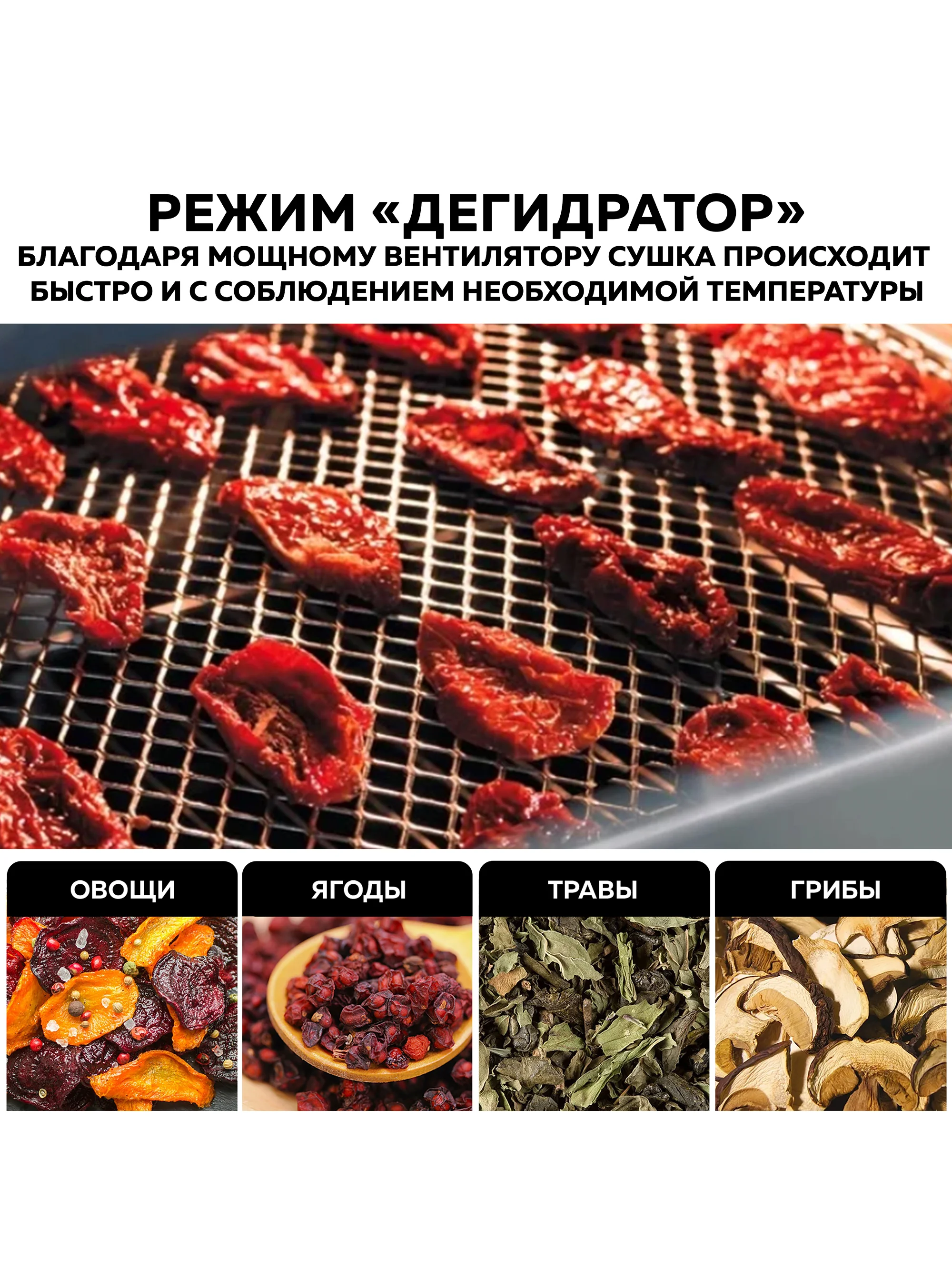 Многофункциональная мини-печь GFgril GFAO-700