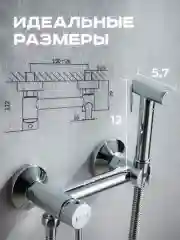 Хром cмеситель однорычажный с гигиенической лейкой и шлангом Shevanik S107, хром